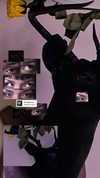 arachn1.ba3 Altpins Profile Picture