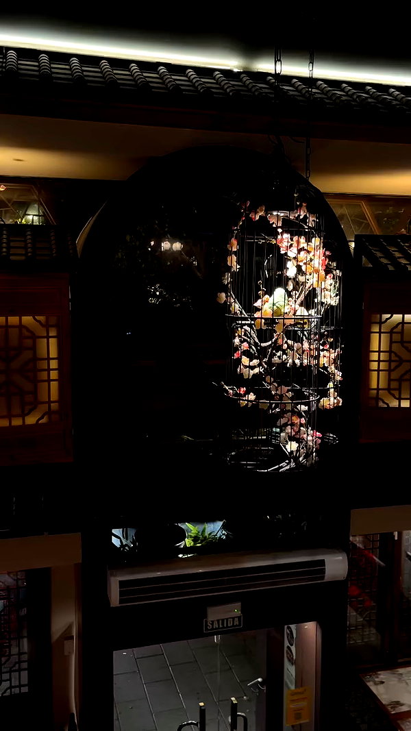 _broock_ archive video preview