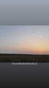 efrat_elmalich Altpins Profile Picture