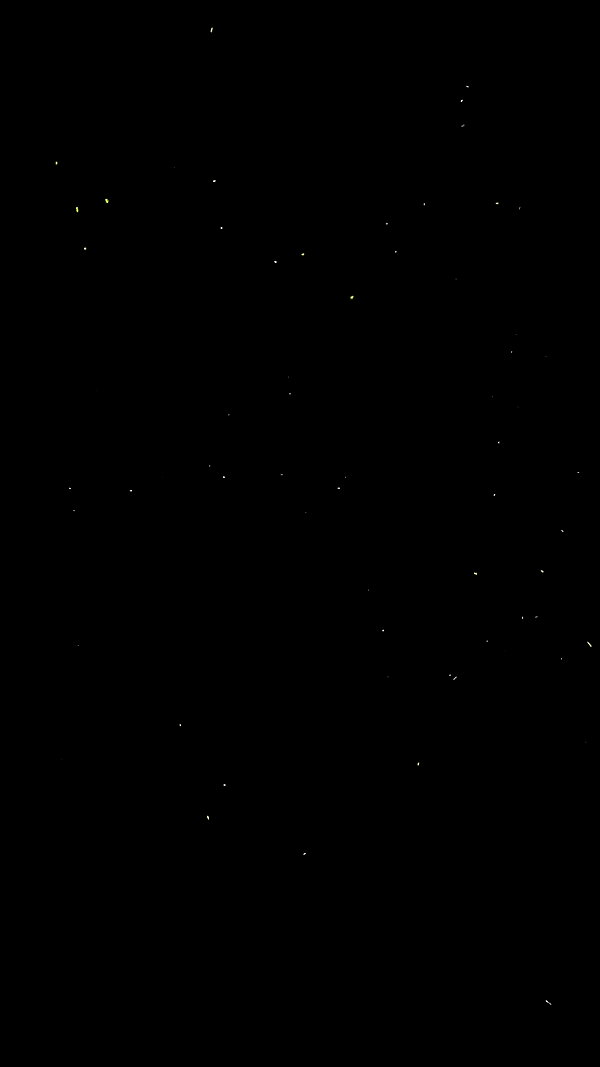 tirtza_cohen archive video preview