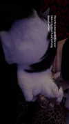 livindeadyaz Altpins Profile Picture