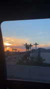 payton.r Altpins Profile Picture