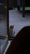 pinx_ir Altpins Profile Picture