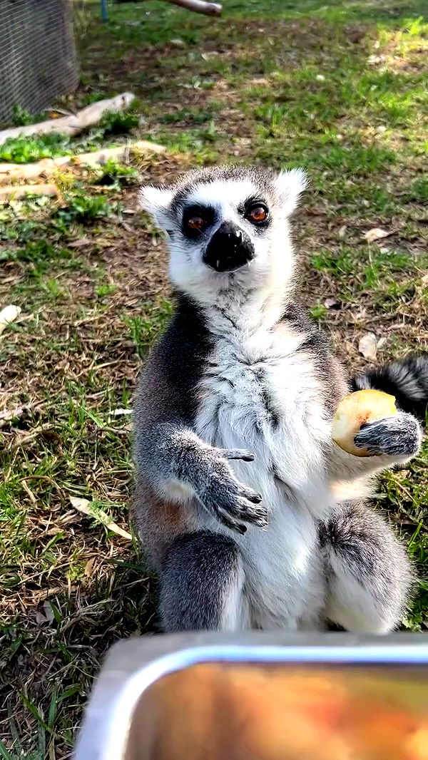 feelbetterinmysweater archive video preview