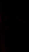 shai_landau_ Altpins Profile Picture