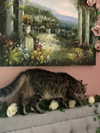 strawberryshanz Altpins Profile Picture