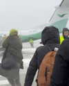 rouxroux.tv Altpins Profile Picture