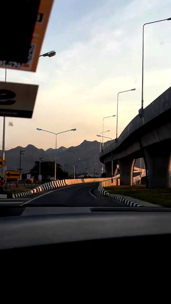 dina_shrago archive video preview