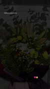mor_amgar Altpins Profile Picture