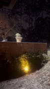 elizabethcampbelljones Altpins Profile Picture