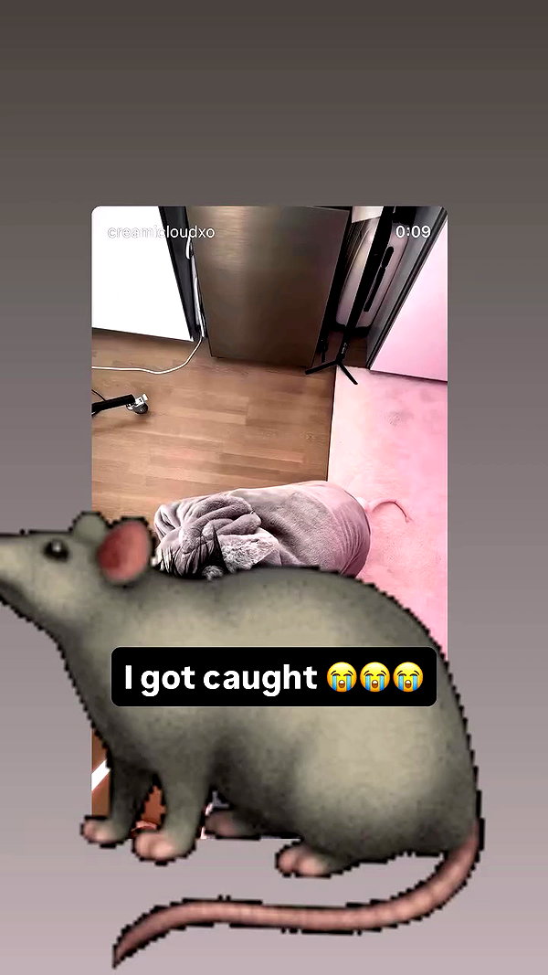 creamicloudxo archive video preview