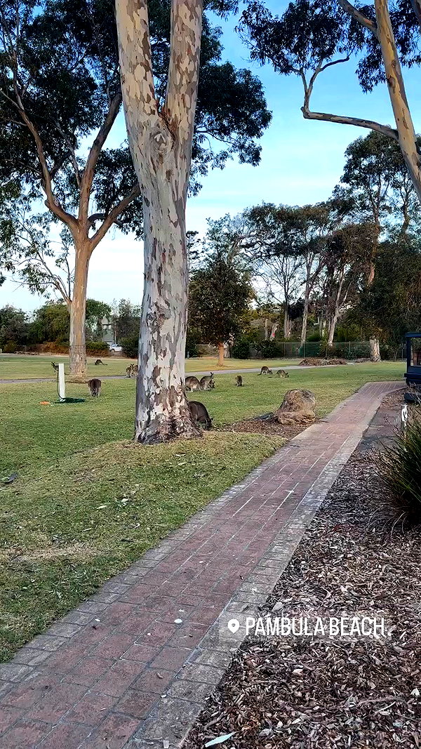 sophadophaa_ archive video preview