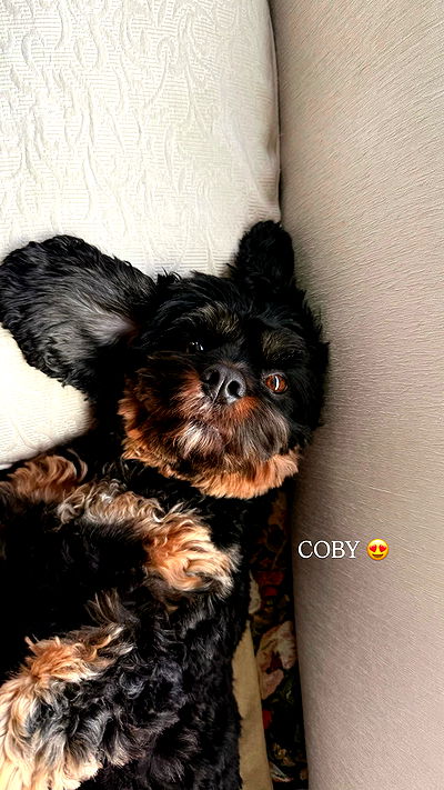 itshayleydavies itshayleydavies archive video