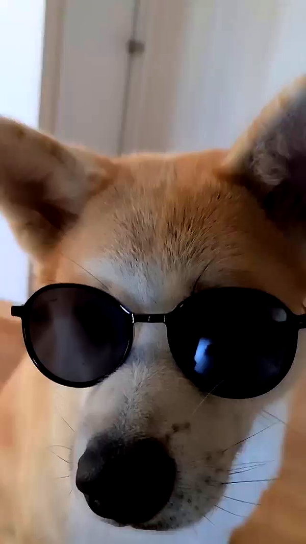 ruth_chavarri archive video preview