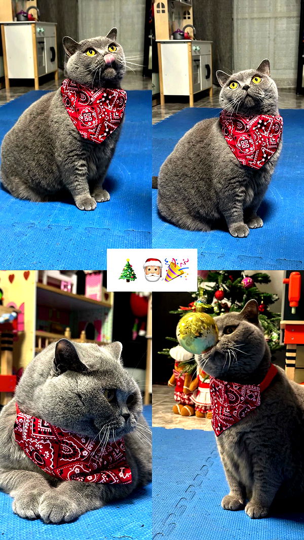 michelleloven_ archive video preview