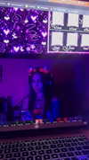 puppyknucklesxx Altpins Profile Picture