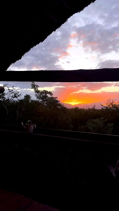 taylor.creeden taylor.creeden archive video