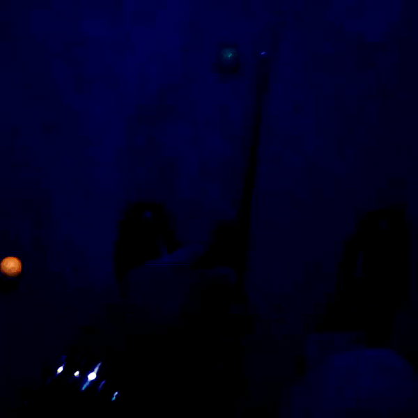 lilbieber archive video preview