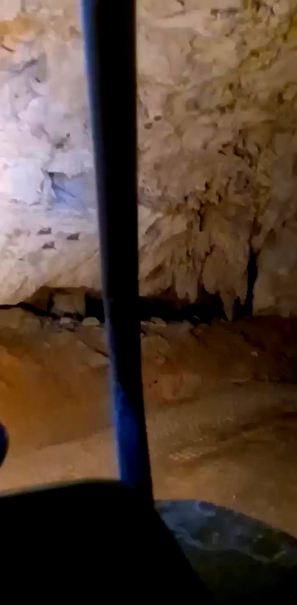 ruth_chavarri archive video preview