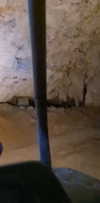 ruth_chavarri Altpins Profile Picture