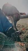 lilih Altpins Profile Picture