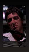 may__hillel Altpins Profile Picture