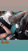 venecatattoo Altpins Profile Picture