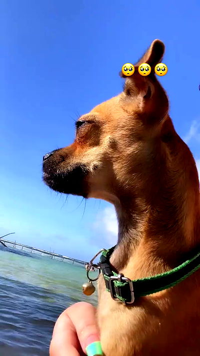 manjolamuriqi manjolamuriqi archive video