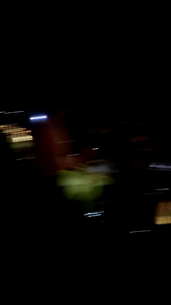 refaella_twina archive video preview