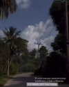 veroni22ka Altpins Profile Picture