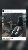 _dead__cherry_ Altpins Profile Picture