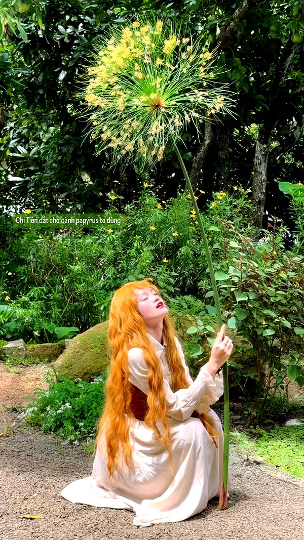 peaceplusyou archive video preview