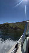 lumaskyee Altpins Profile Picture