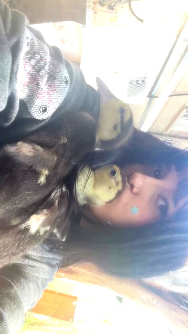 feelbetterinmysweater archive video preview