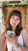 f4iryybl00d Altpins Profile Picture