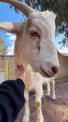 feelbetterinmysweater Altpins Profile Picture