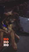 evasela__ Altpins Profile Picture