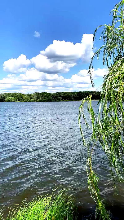 nyityam nyityam archive video