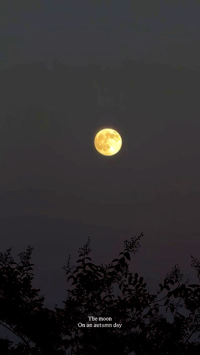 taylor.creeden taylor.creeden archive video