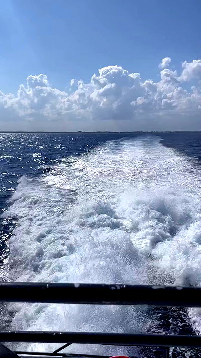 shunli__mei shunli__mei archive video