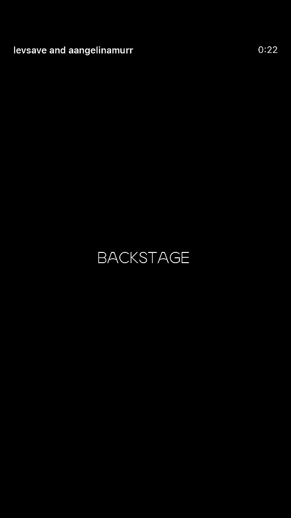 levsave archive video preview