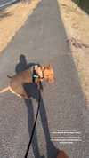 olivia.mathers Altpins Profile Picture