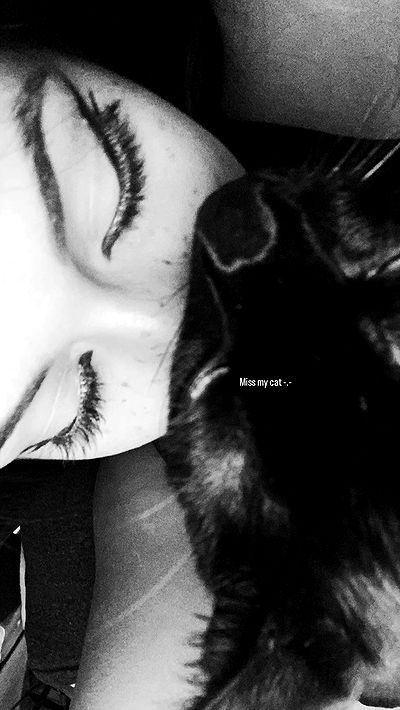 rebecka_tsadok rebecka_tsadok archive video