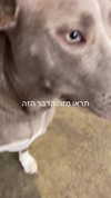 feelbetterinmysweater Altpins Profile Picture