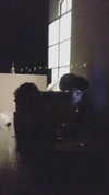 evasela__ Altpins Profile Picture