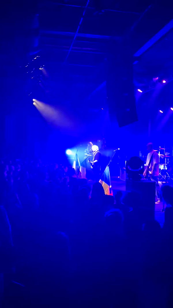 _allvi.pansk archive video preview