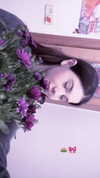 cospxreiw Altpins Profile Picture