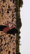 protheme Altpins Profile Picture