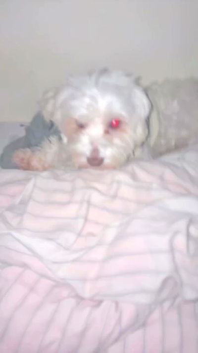 hellokittyangel666 hellokittyangel666 archive video