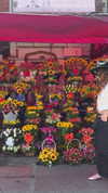 solzarubin_ Altpins Profile Picture